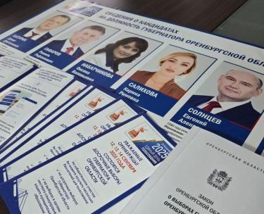 Кто стал губернатором, а кто депутатом?