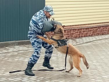 В «Старом городе» задержали «преступника»
